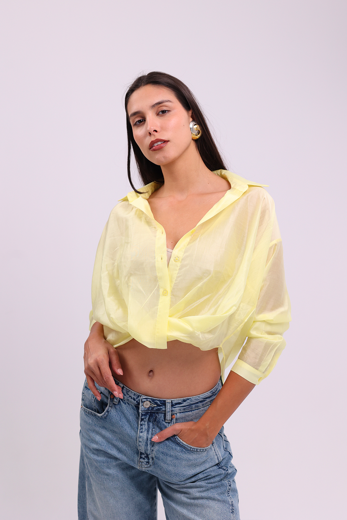 Lemon Sheer Button-Up Blouse