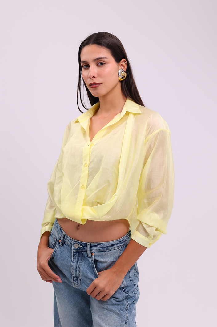 Lemon Sheer Button-Up Blouse