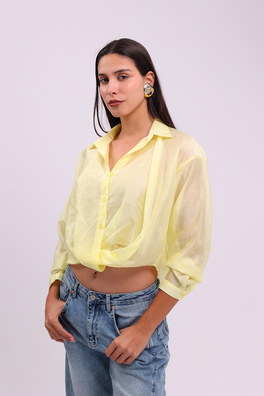 Lemon Sheer Button-Up Blouse