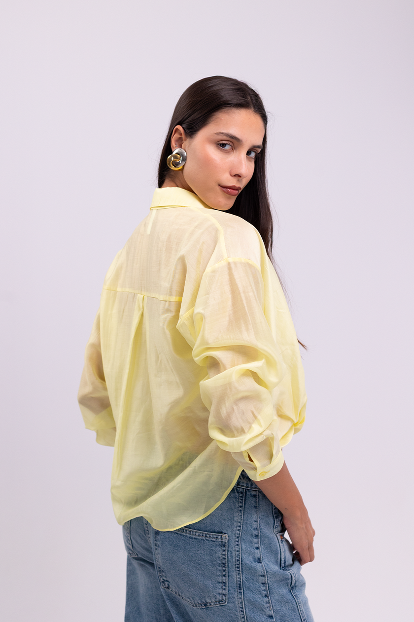 Lemon Sheer Button-Up Blouse